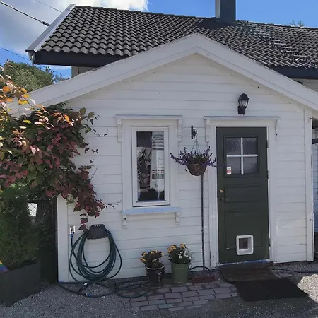 Oya Husrom-enkeltsenger-sovesofa-kjokken